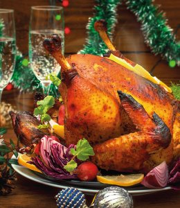 Weihnachtsgans &copy; mahara-stock.adobe.com