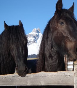 Filmoos im Winter - mit Blick auf die Bischofsmütze 